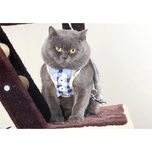 Elegant Cat Harness and Leash Set