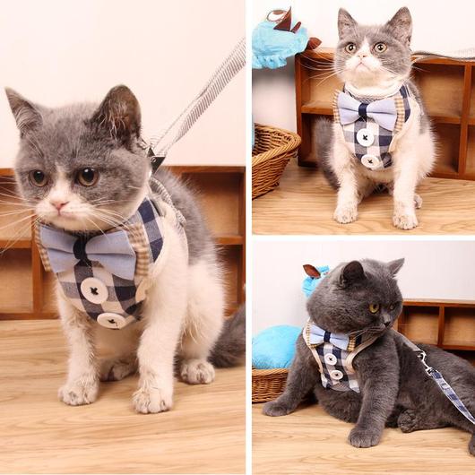 Elegant Cat Harness and Leash Set