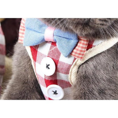Elegant Cat Harness and Leash Set