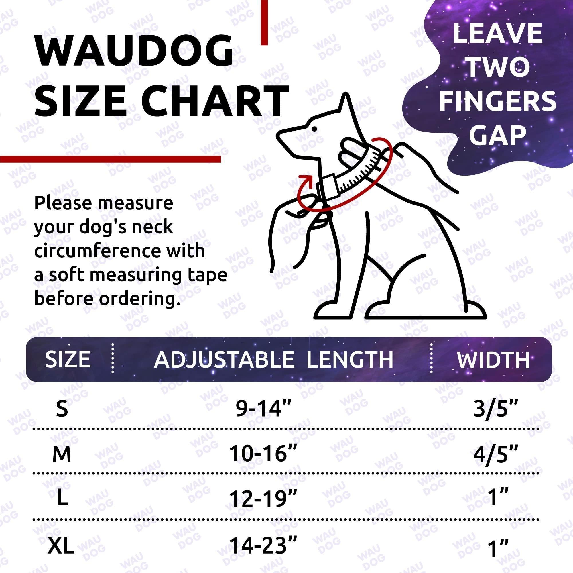 Adjustable Nylon Dog Collar for Small to Medium Dogs