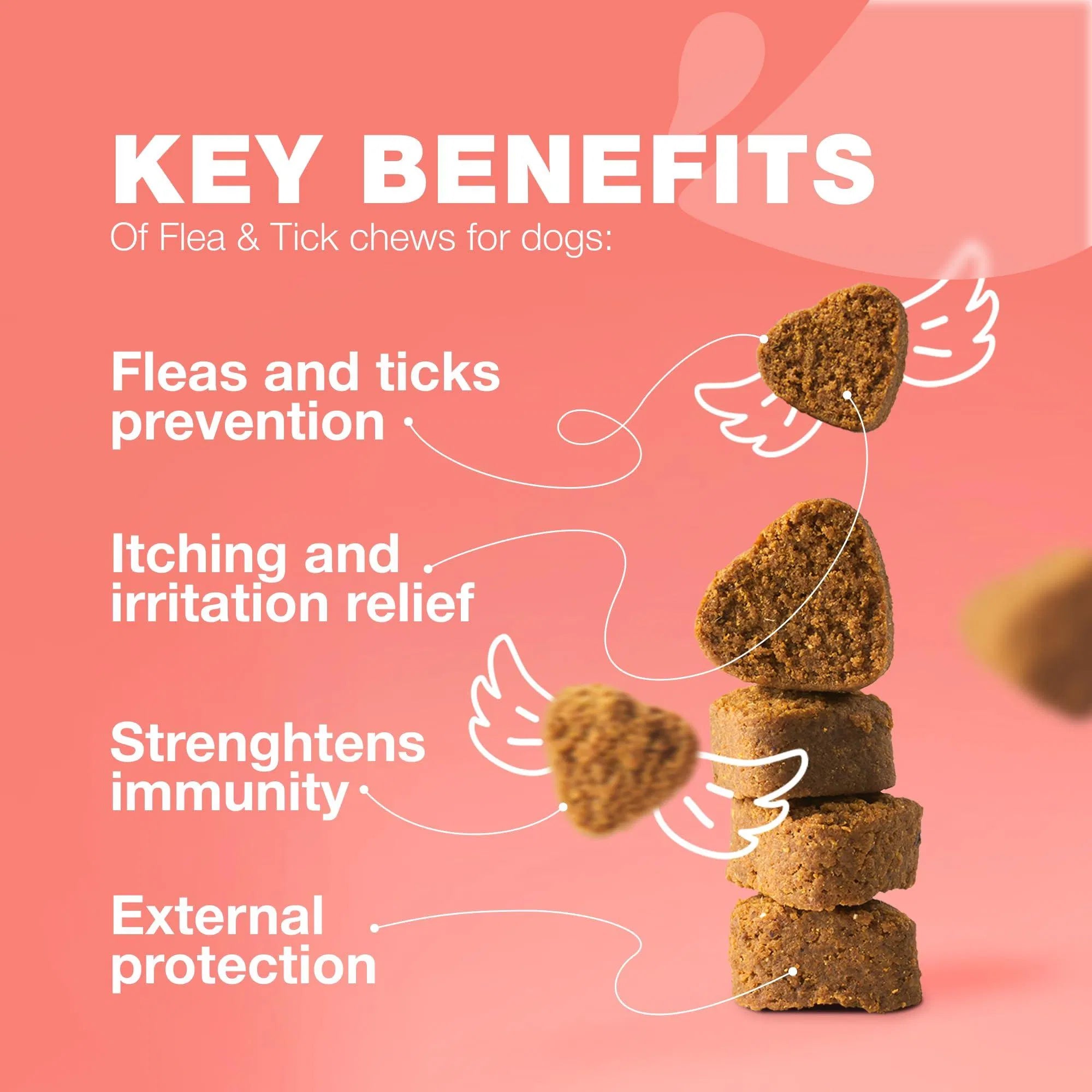 Flea and Tick Prevention Chews for Dogs