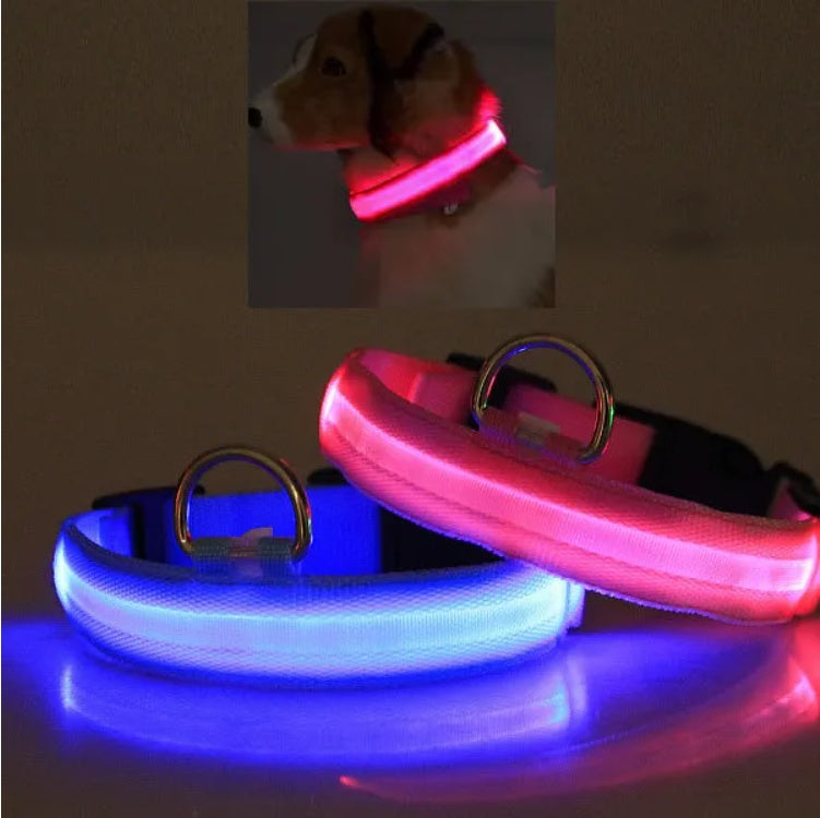 Halo-Style LED Safety Collar