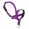 Adjustable Nylon Head Halter Collar, Small, Purple