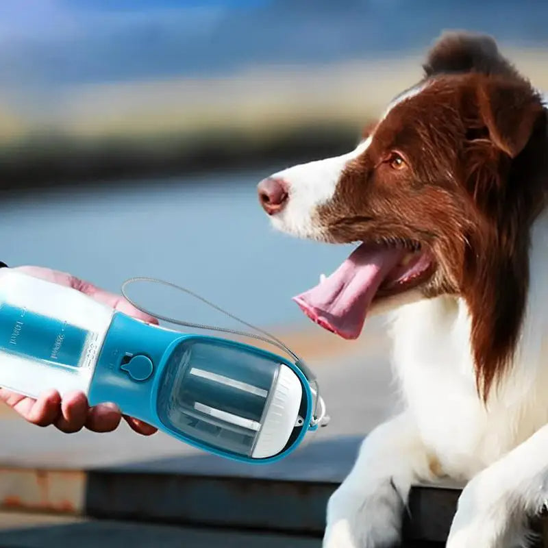 Portable Pet Hydration & Waste Solution, 3-in-1