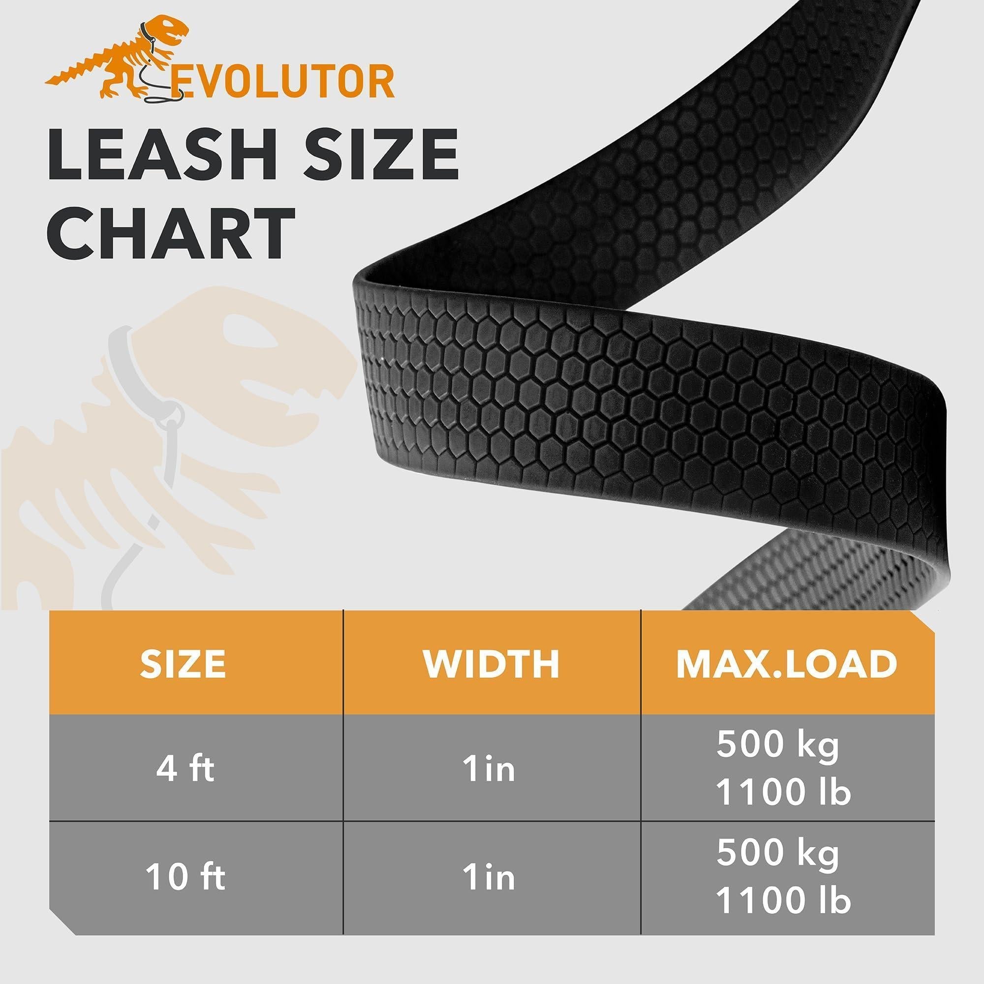 Black Heavy Duty Dog Leash, 4 Ft x 1 In