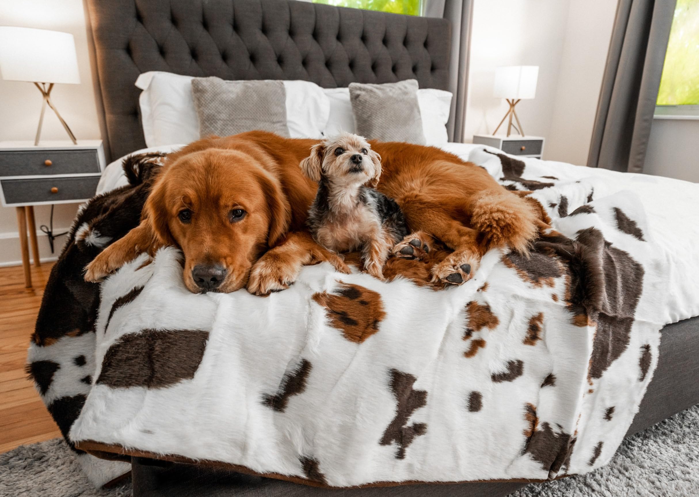 PupProtector Waterproof Faux Fur Throw - Brown Cowhide, Larg