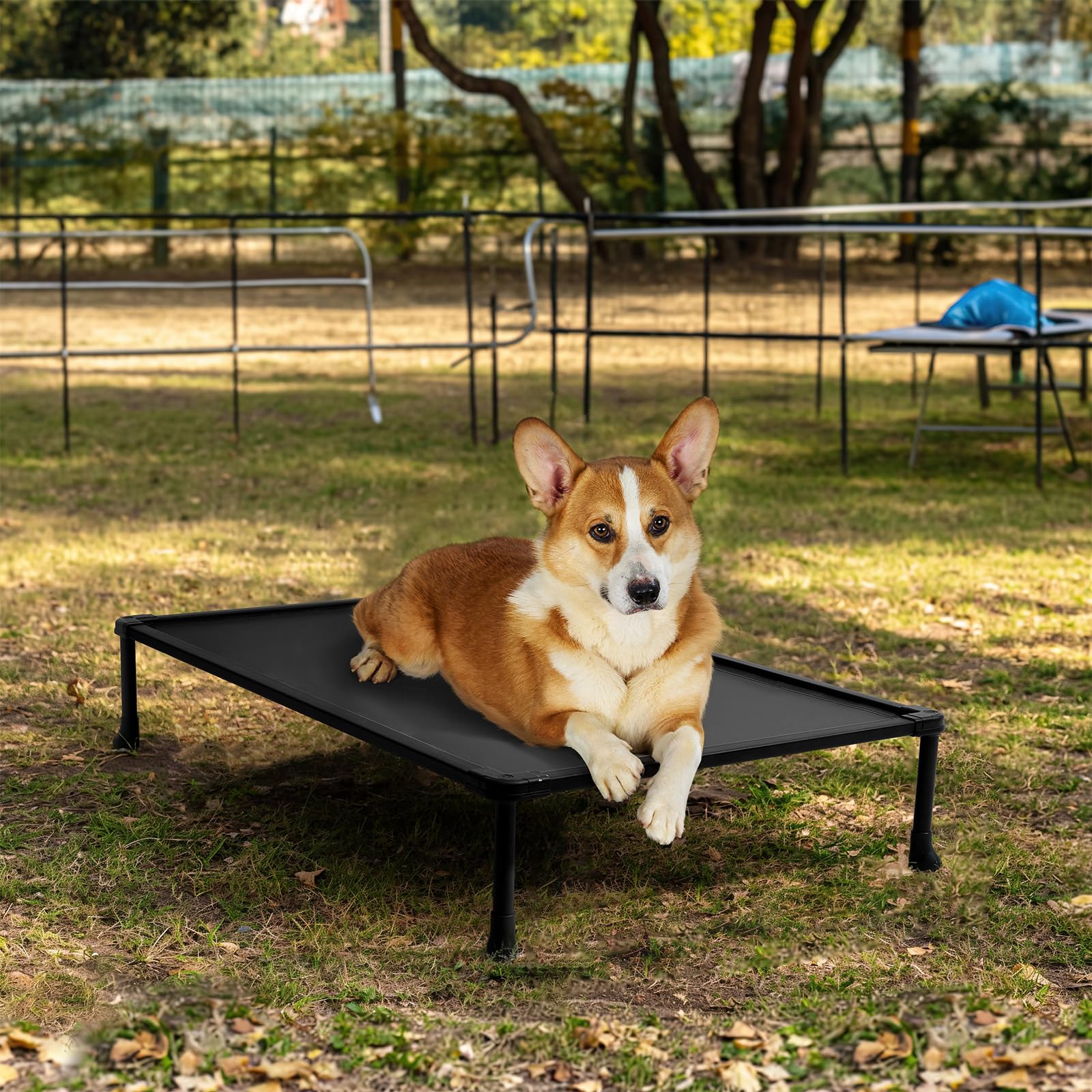 Elevated Pet Bed for Training and Comfort, Small-Medium