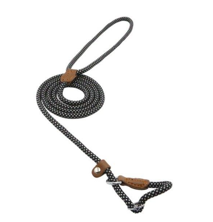 Nylon Duo Collar and Lead Set