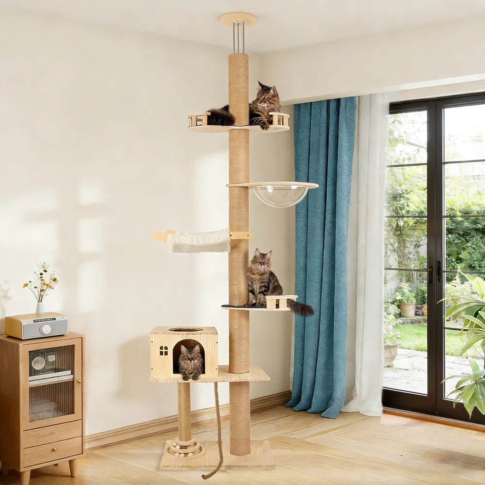 6-Level Floor-to-Ceiling Cat Tree with Capsule