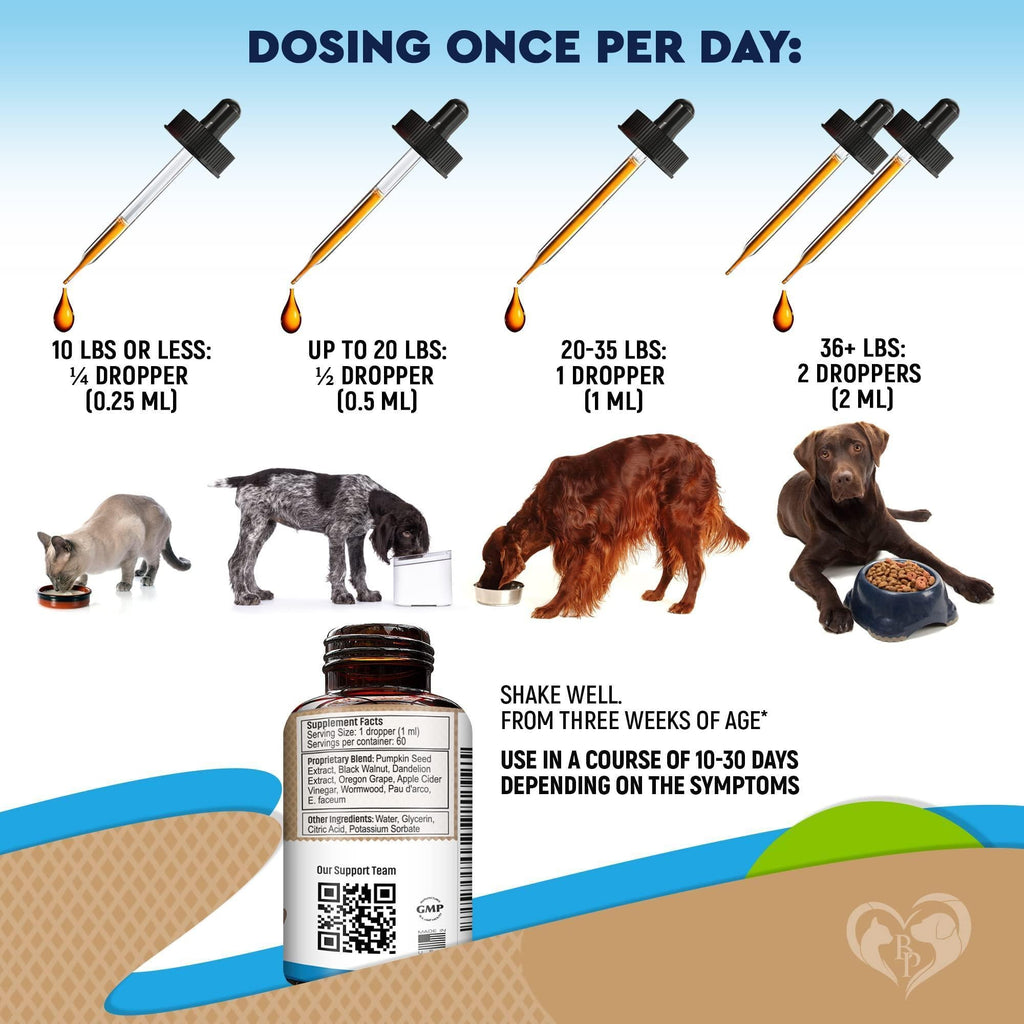 Herbal Digestive & Immune Support for Pets