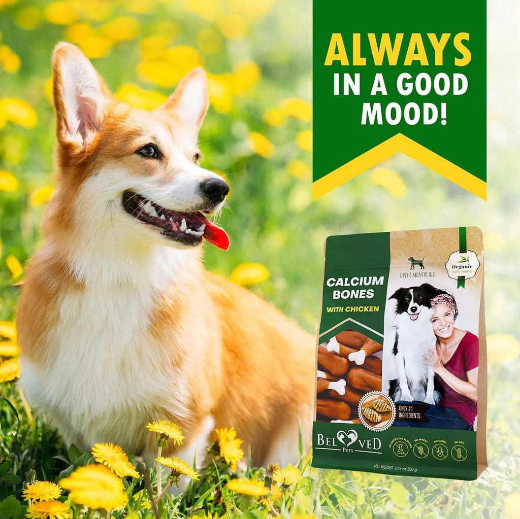 Wrapped Chicken Calcium Bones, Rawhide-Free Dog Chews