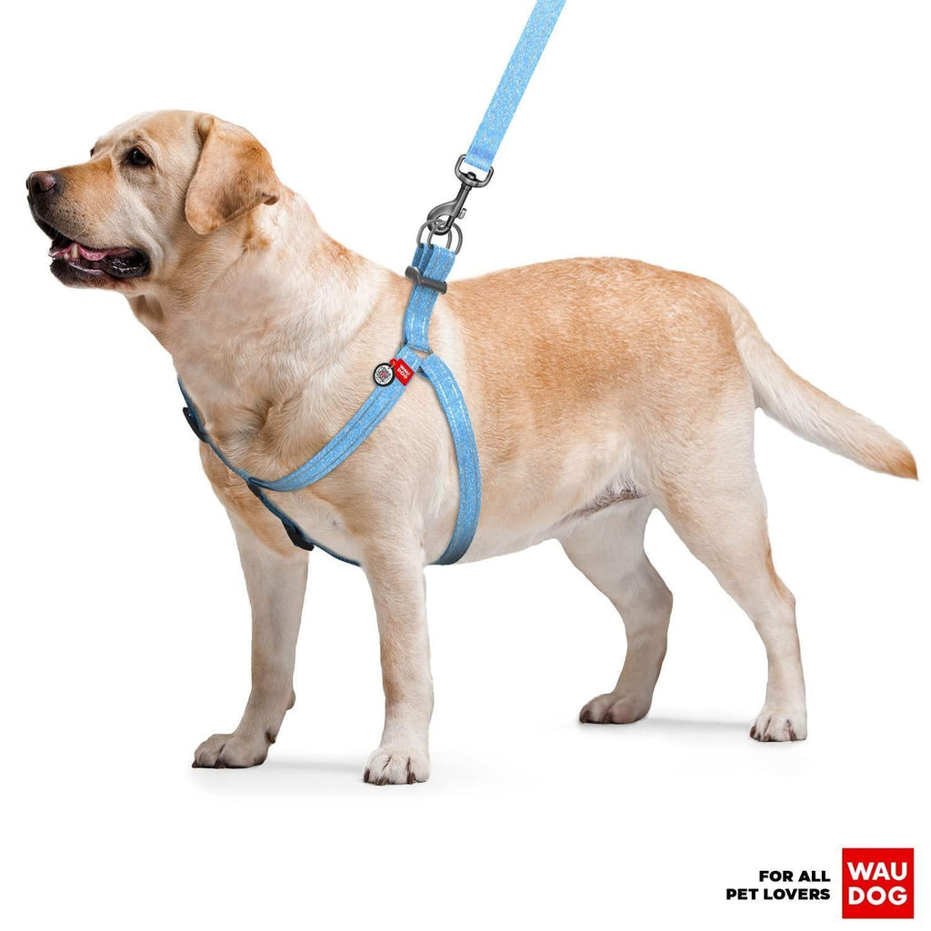 Blue Cotton Adjustable Harness, Medium