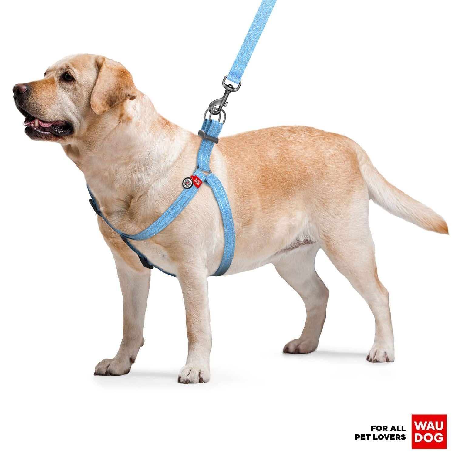 Blue Cotton Adjustable Harness, Medium