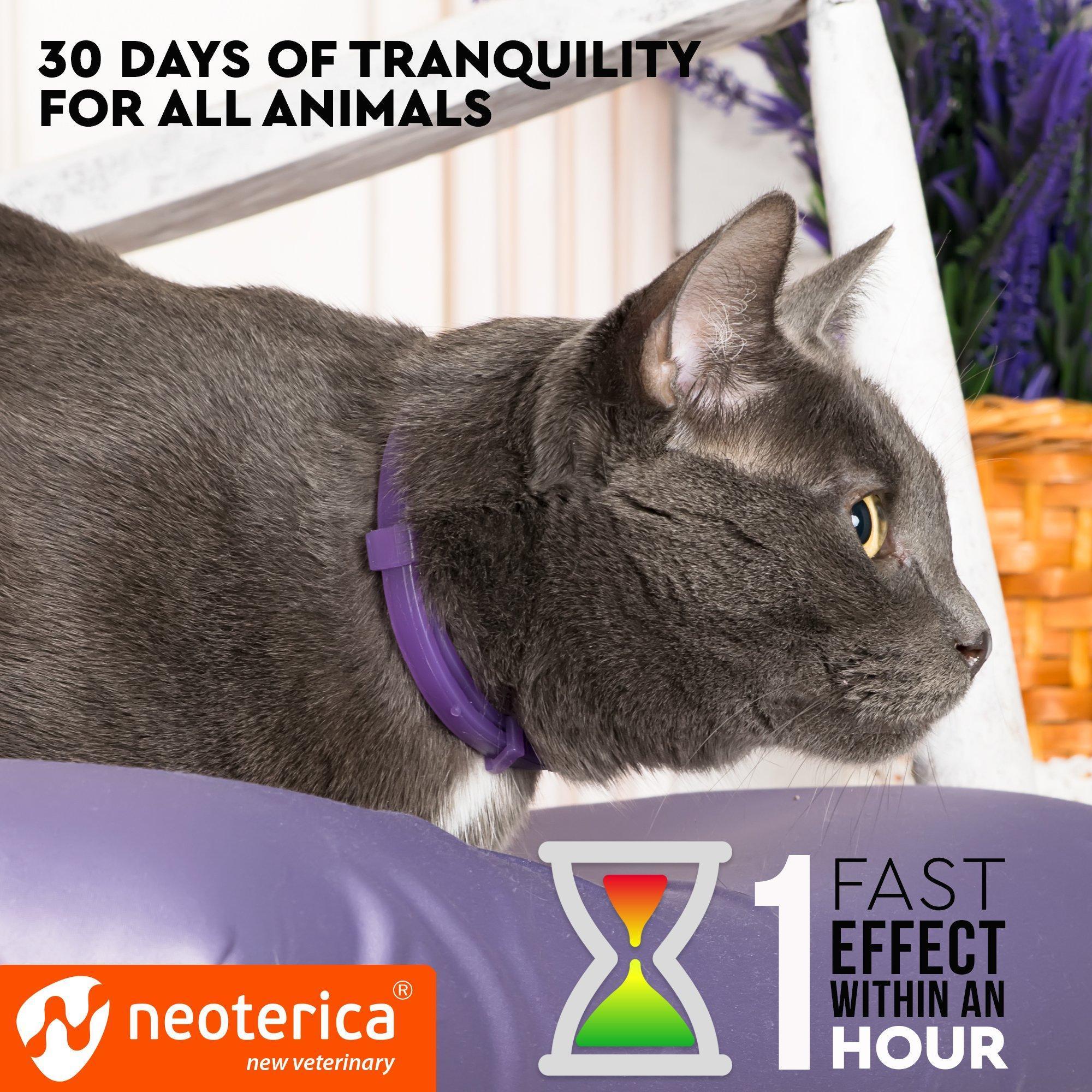 Feline Calming Collar with Pheromones, 1 Count