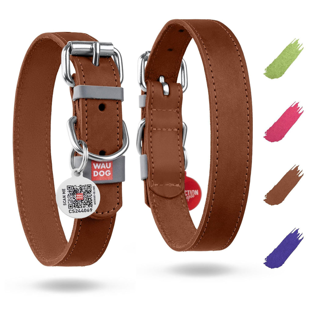 Leather Dog Collar, XSmall, 8-11 inch Neck