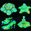 300-Count Luminous Pebbles for Patios and Aquariums