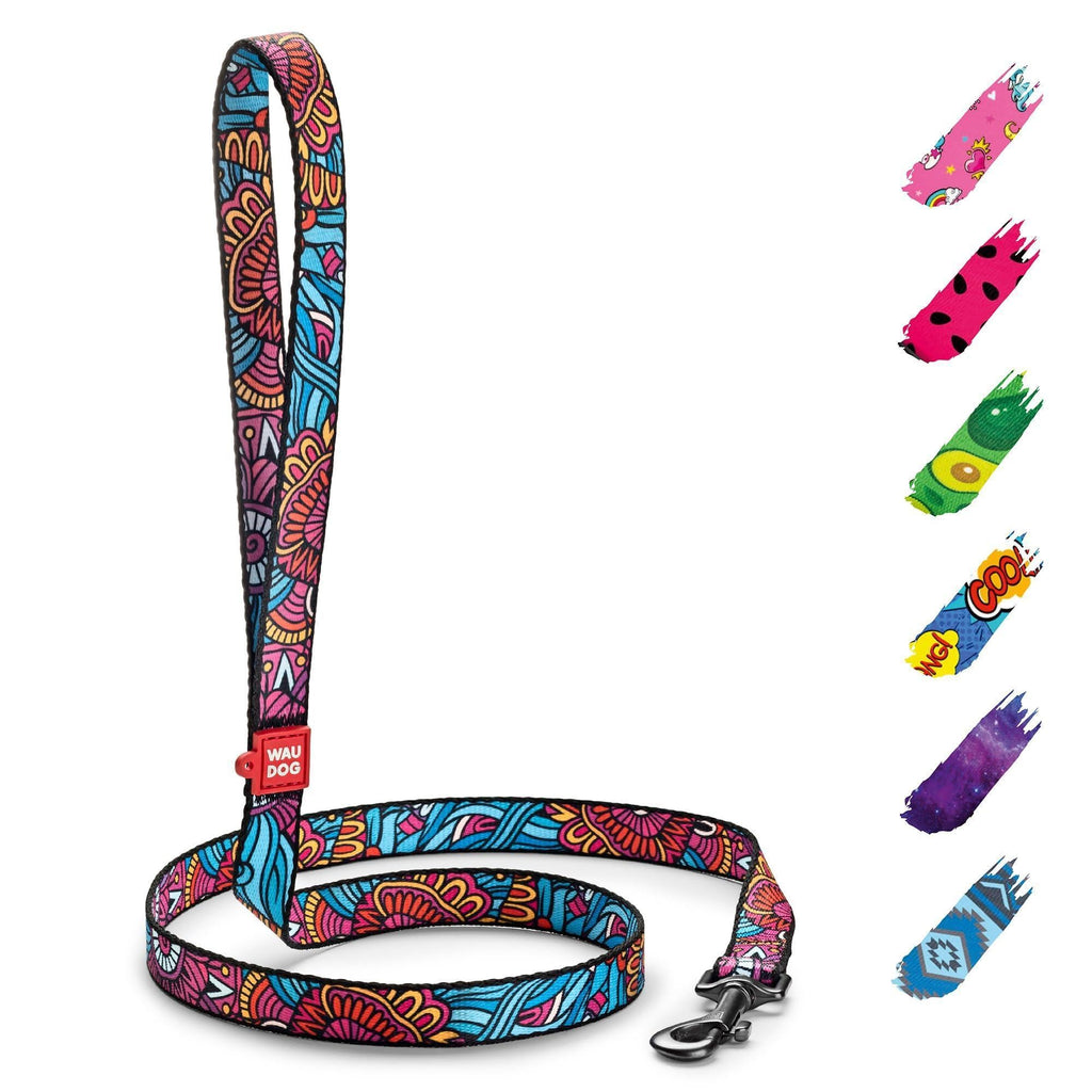 Durable Nylon Leash, 4 Ft x 1 Inch, Summer Colors