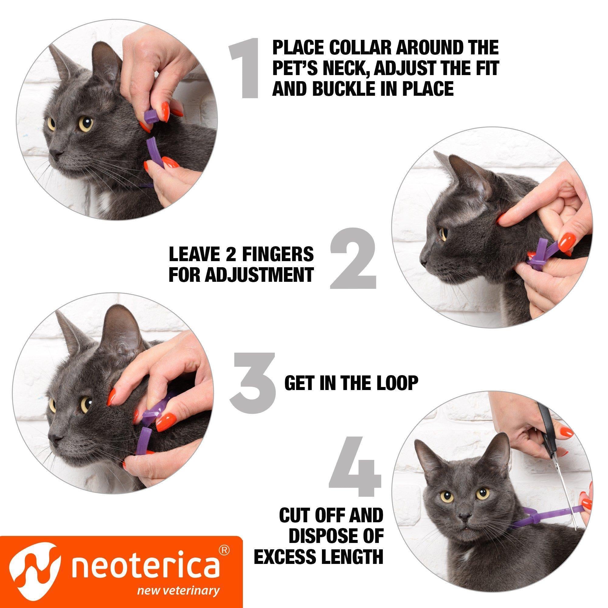 Feline Calming Collar with Pheromones, 1 Count