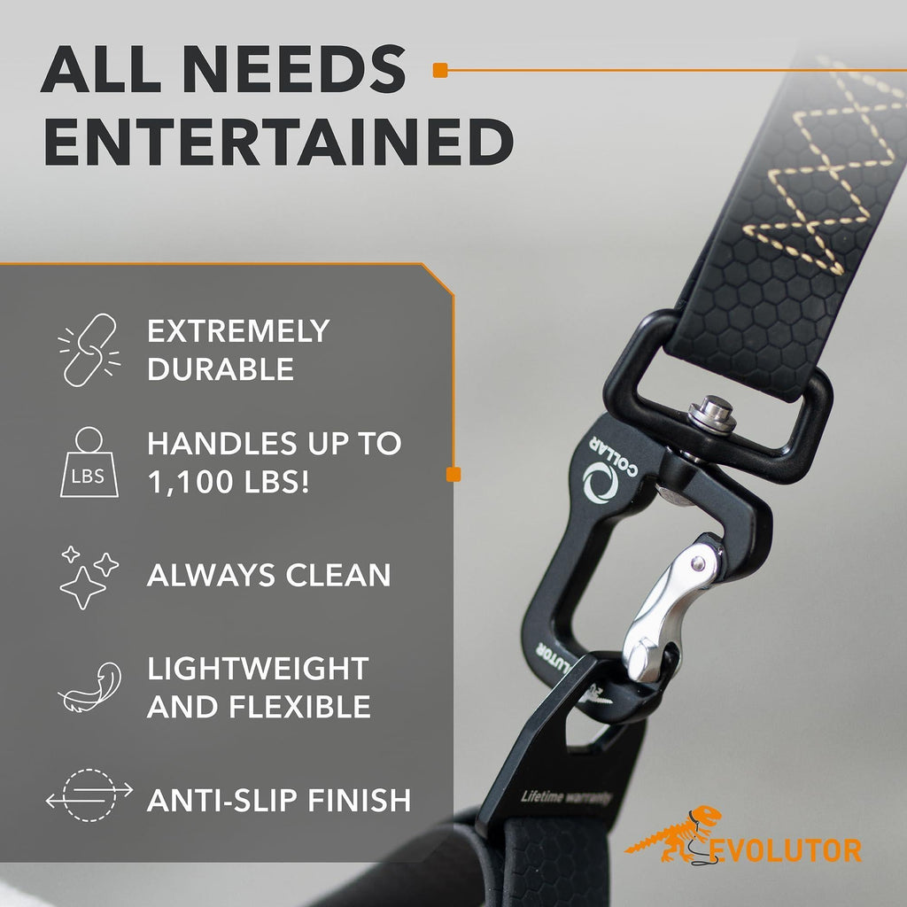 Black Heavy Duty Dog Leash, 4 Ft x 1 In