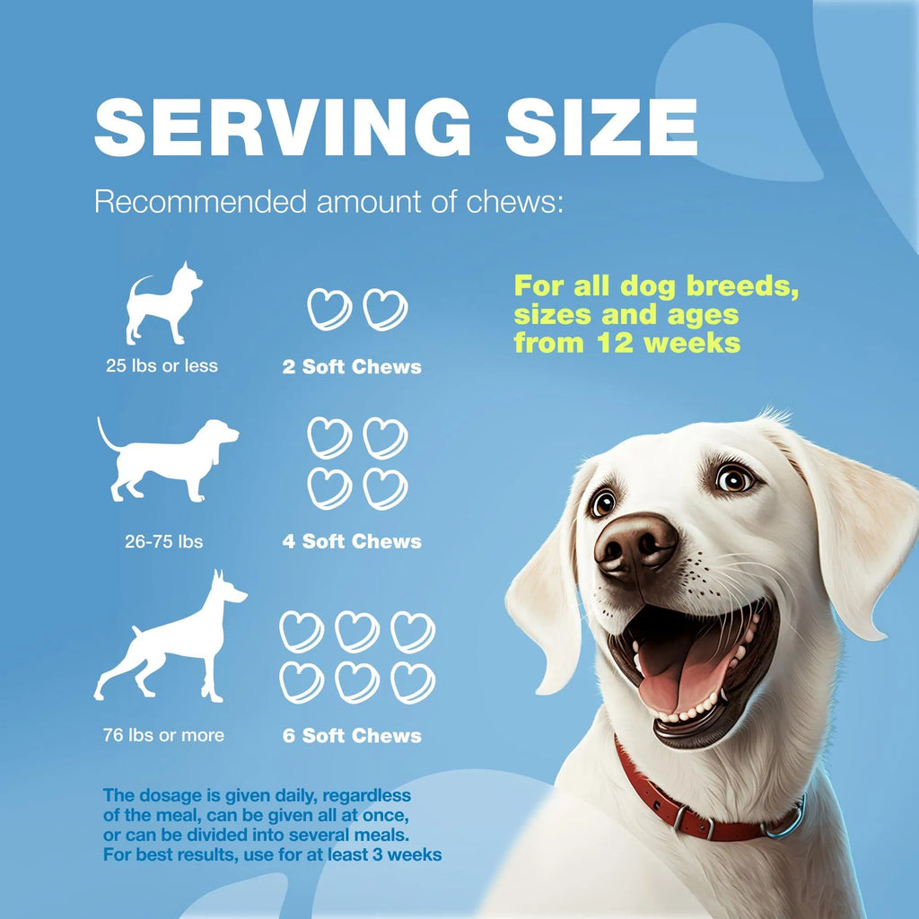 Hemp Calming Chews for Canine Anxiety Relief