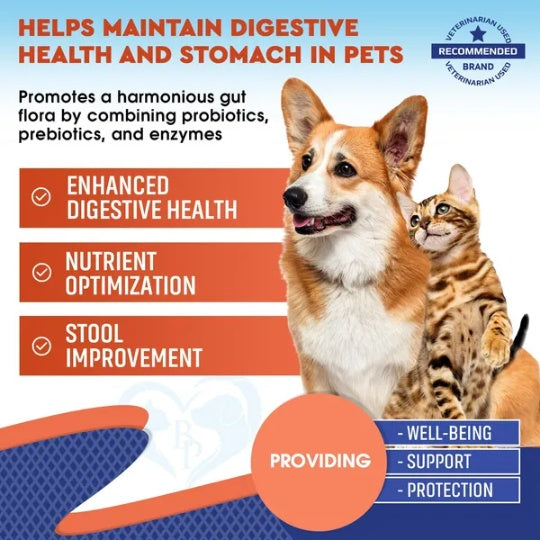 Digestive Support for Pets: Probiotics & Enzymes