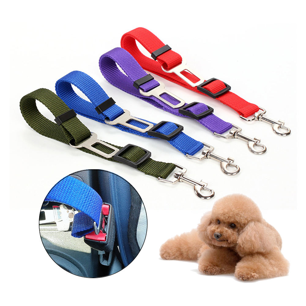 Adjustable Vehicle Safety Leash