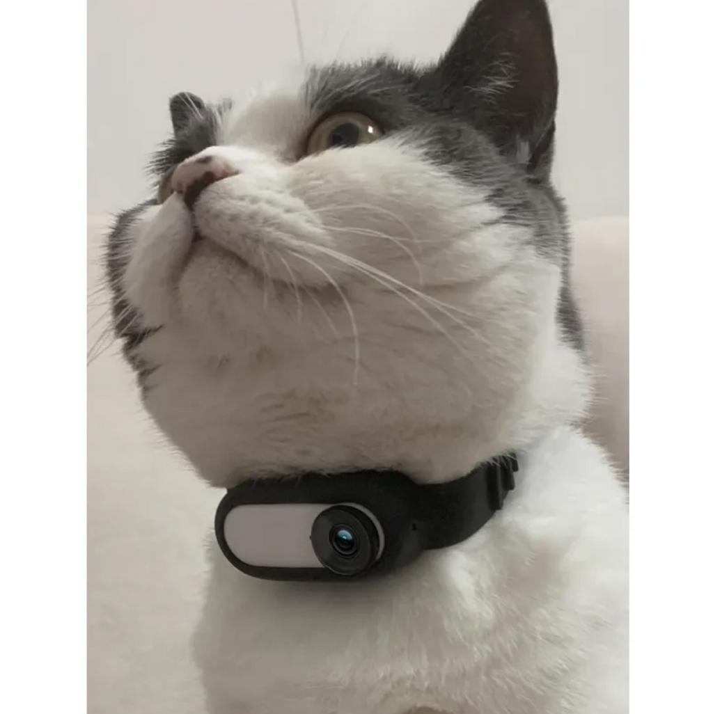 Wireless Pet Collar Camera