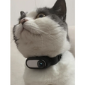 Wireless Pet Collar Camera
