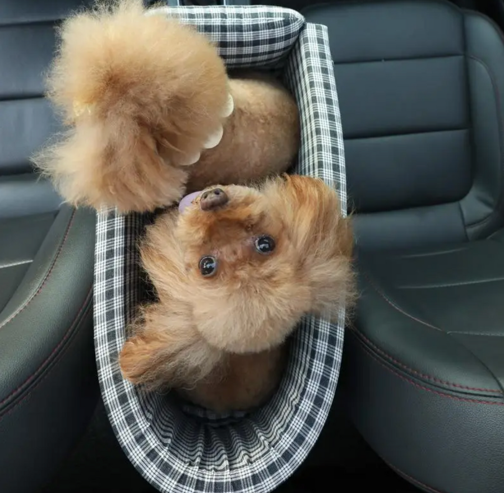 Elegant Portable Pet Booster Seat