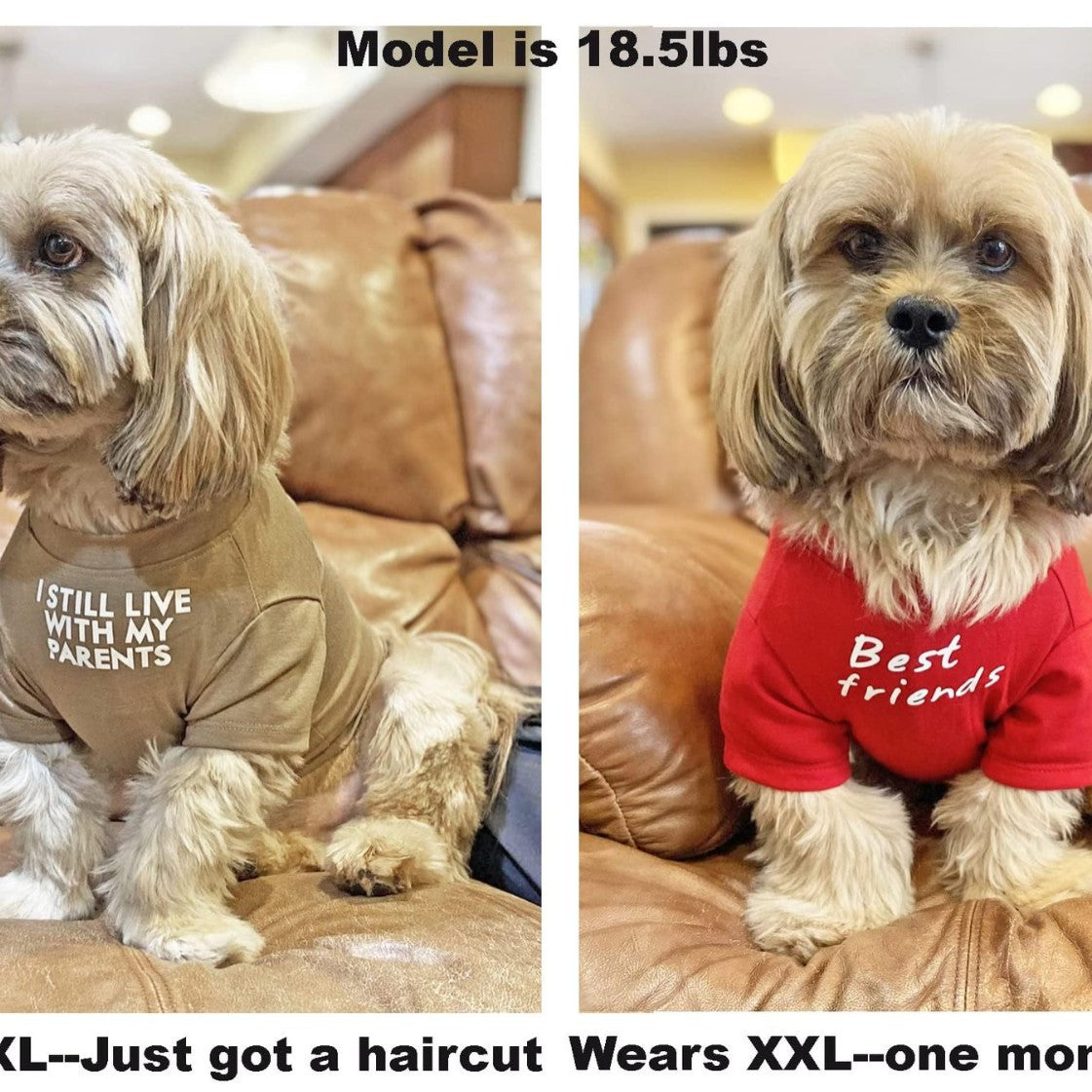 Pet Round Neck T-Shirt in Red, Blue, Black, Khaki