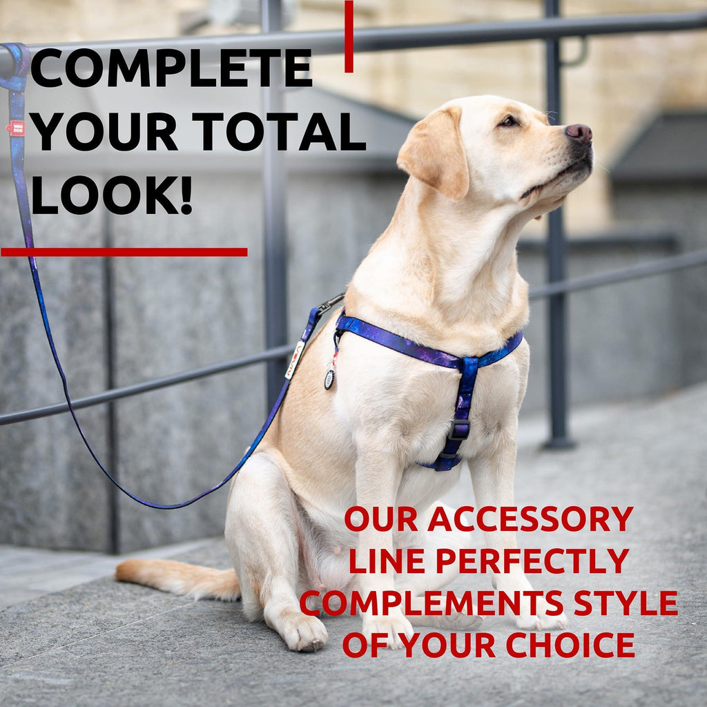 Heavy-Duty Nylon Leash, 4 Ft x 1 In, NASA Design