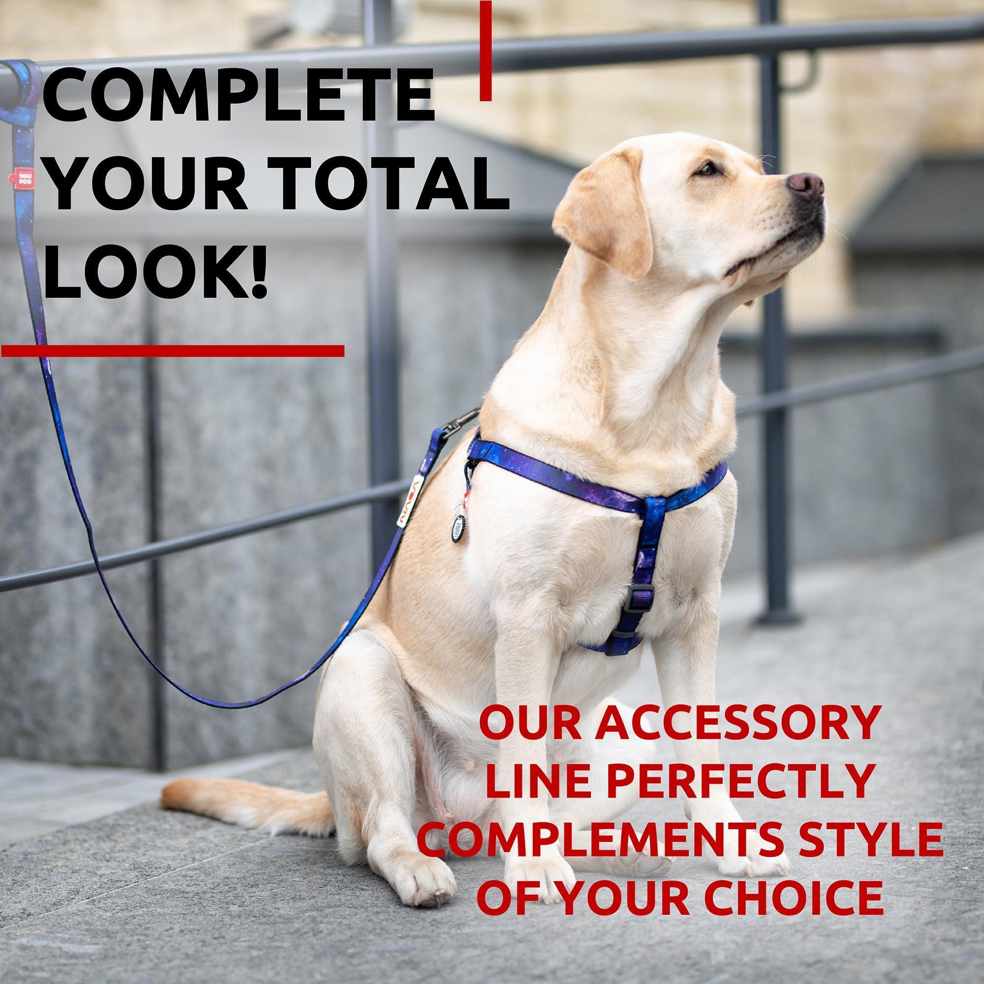 Heavy-Duty Nylon Leash, 4 Ft x 1 In, NASA Design