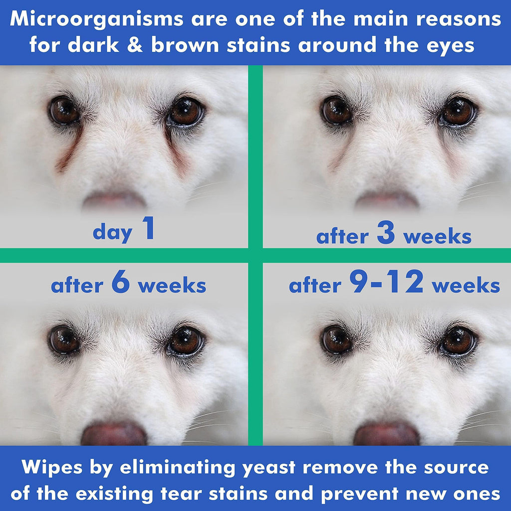Natural Medicated Pet Eye Wipes - 100 Count