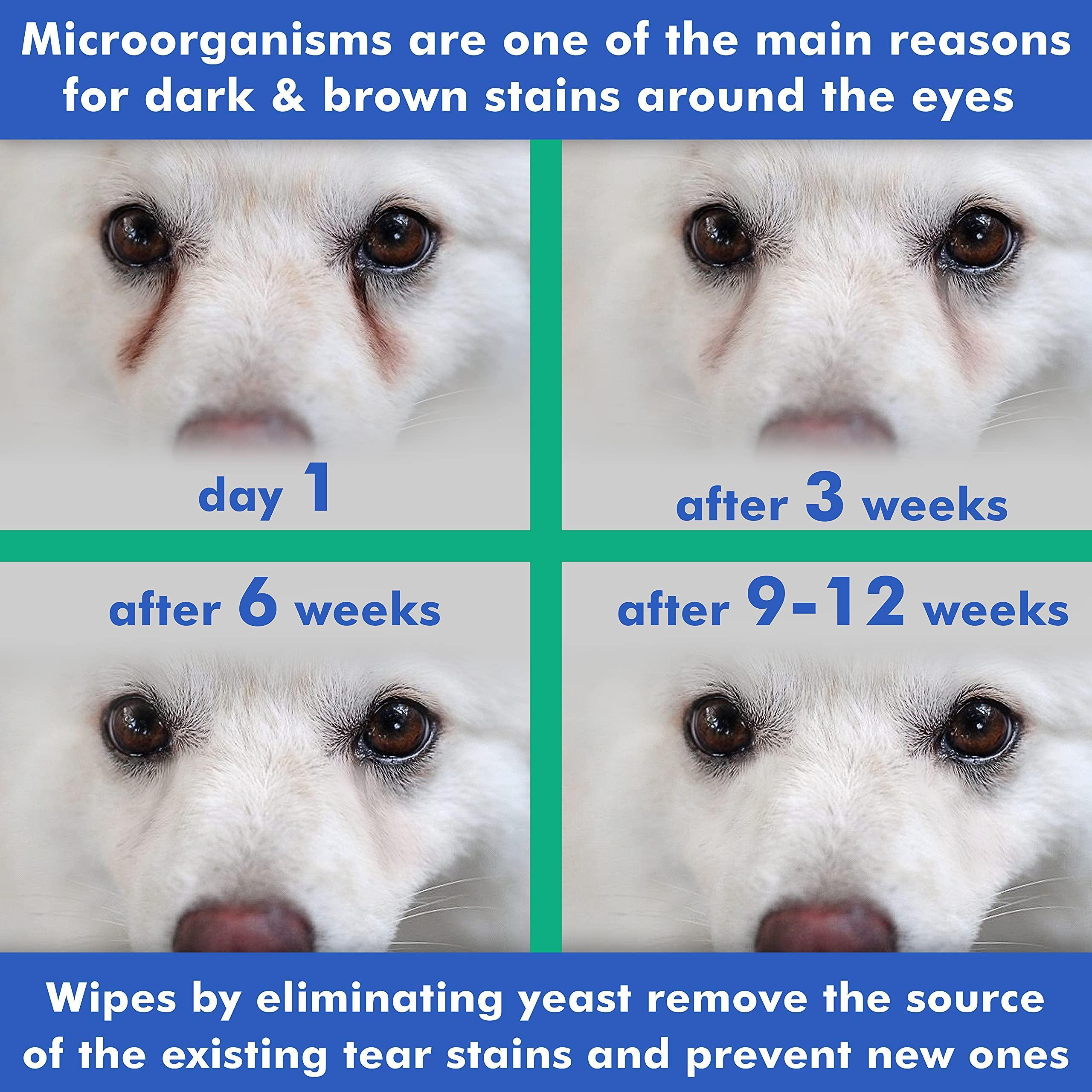 Natural Medicated Pet Eye Wipes - 100 Count