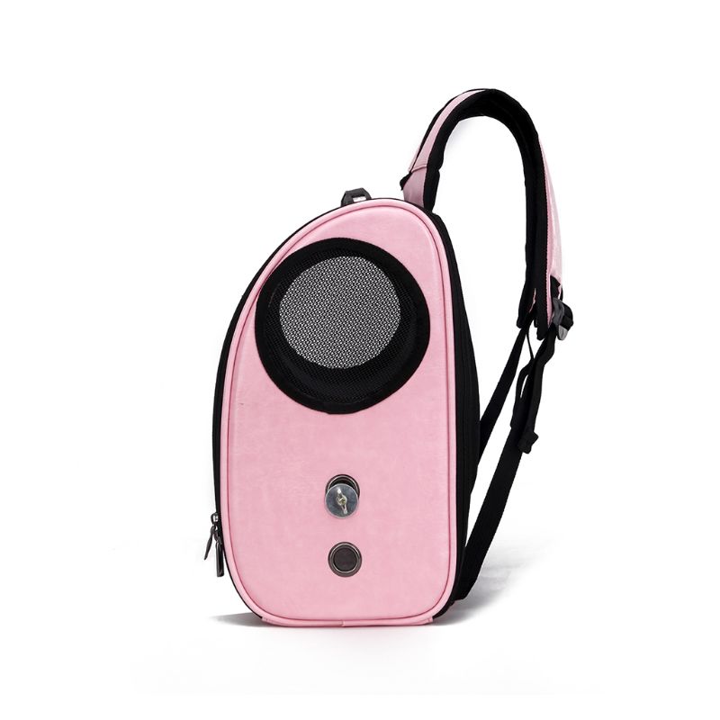 Foldable Porous Pet Carrier