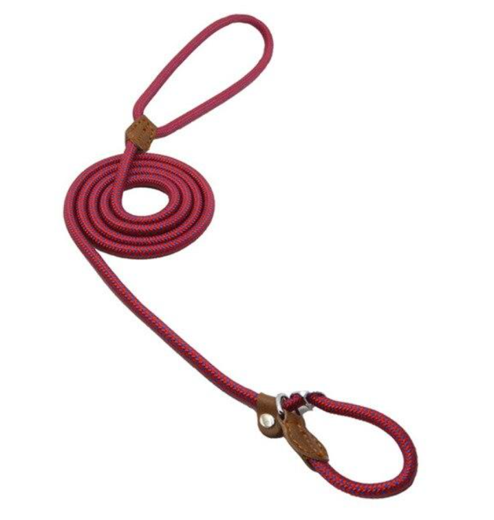 Nylon Duo Collar and Lead Set