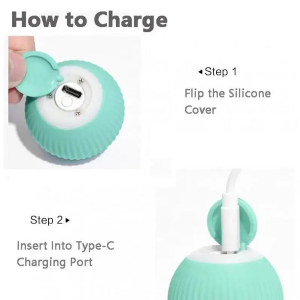Interactive Pet Enrichment Ball
