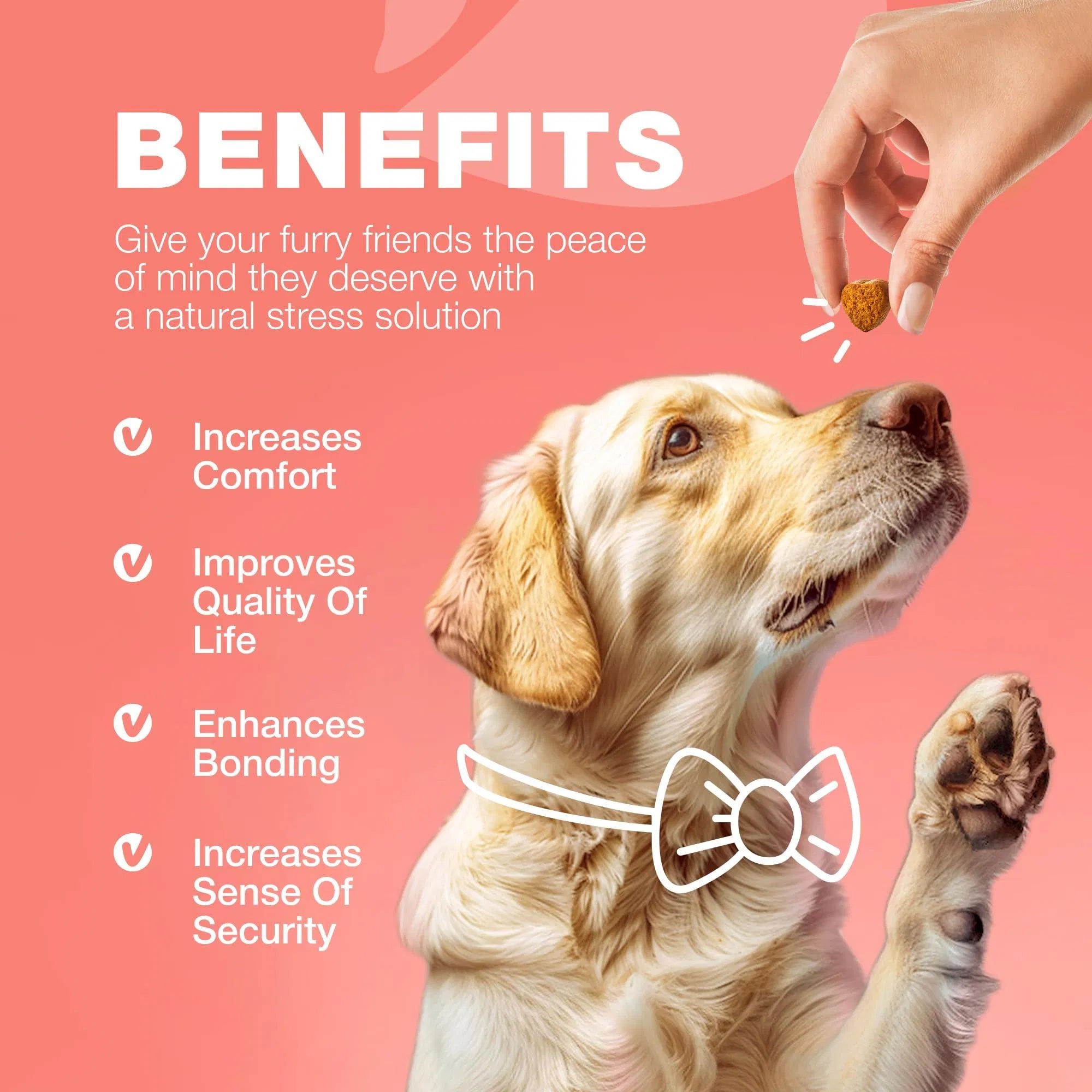 Natural Flea & Tick Prevention Soft Chews for Dogs