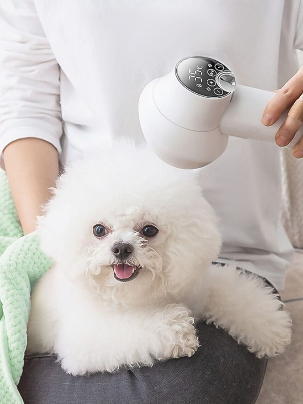 Quiet Pet Grooming Hair Dryer & Comb