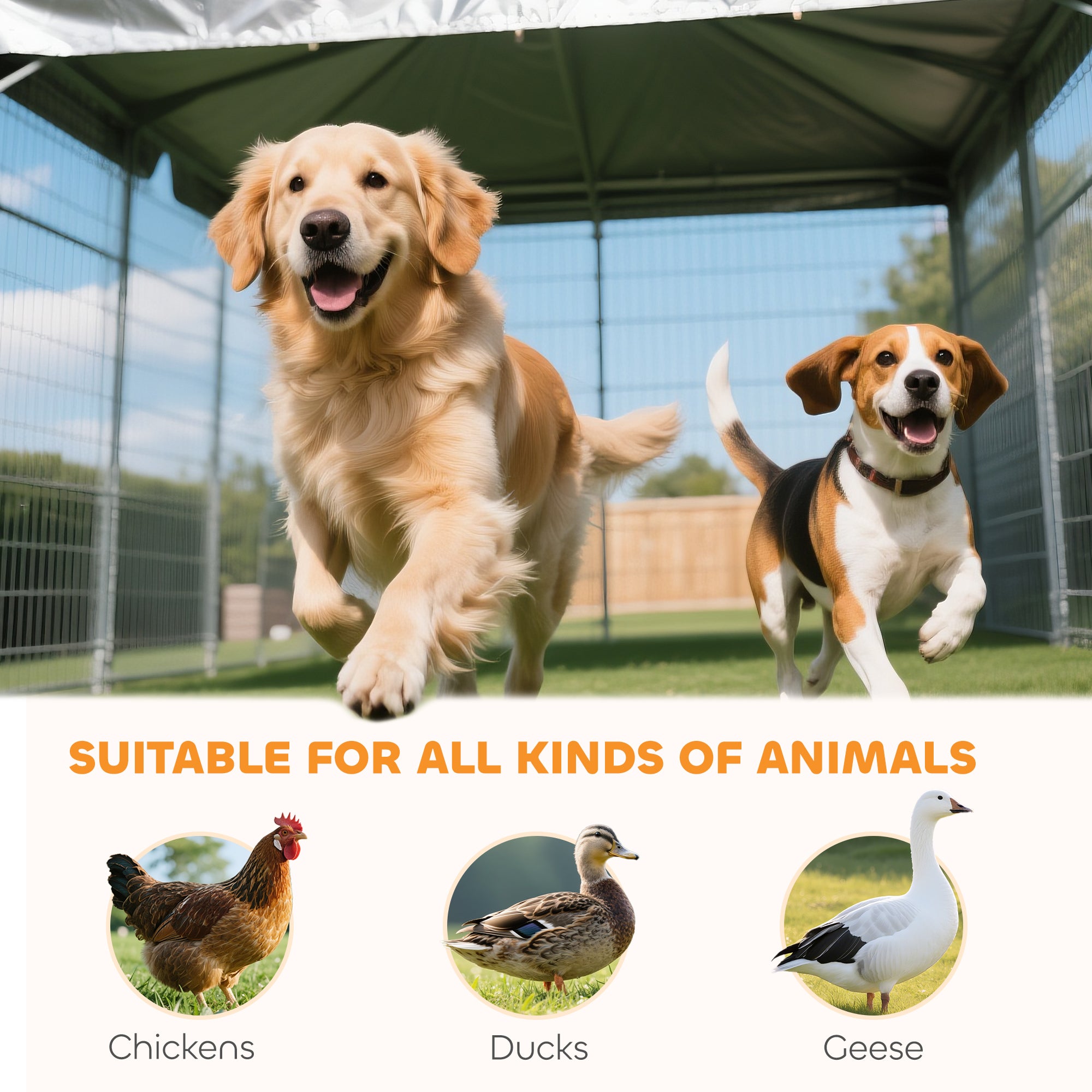 Outdoor Dog Kennel, 19.7' x 7.5' x 5.2', with Bowl Rack
