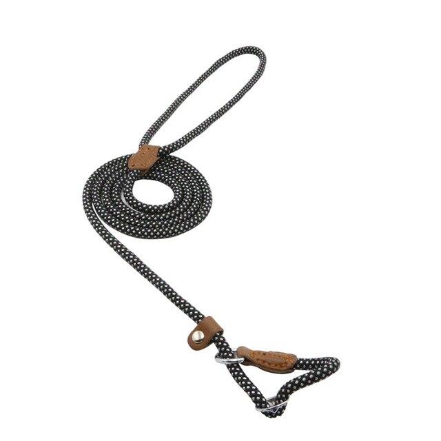 Nylon Duo Collar and Lead Set