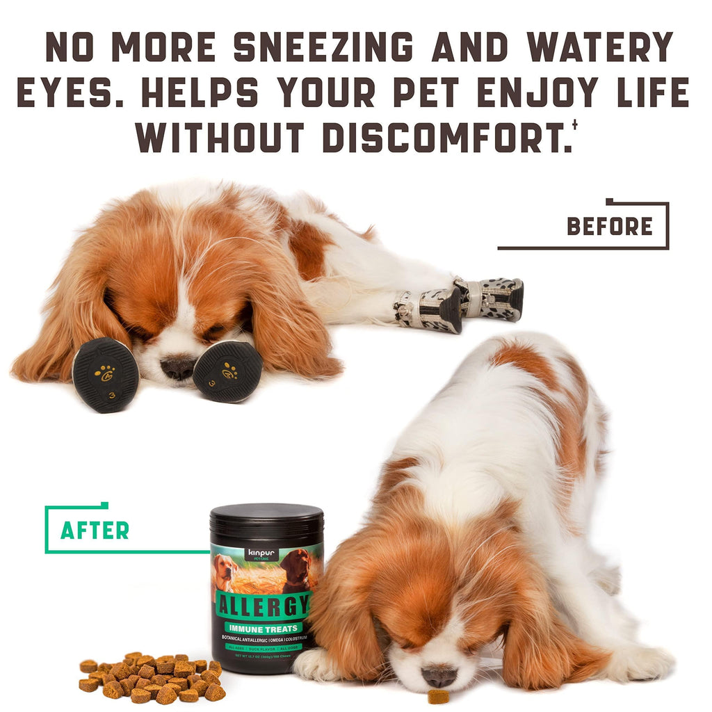 Natural Allergy Relief Chews for Dogs, 180 Count