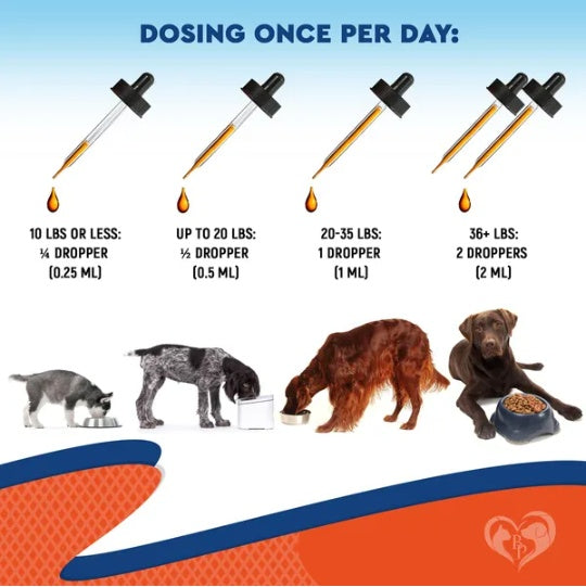 Natural Yeast Infection Drops for Canine Relief