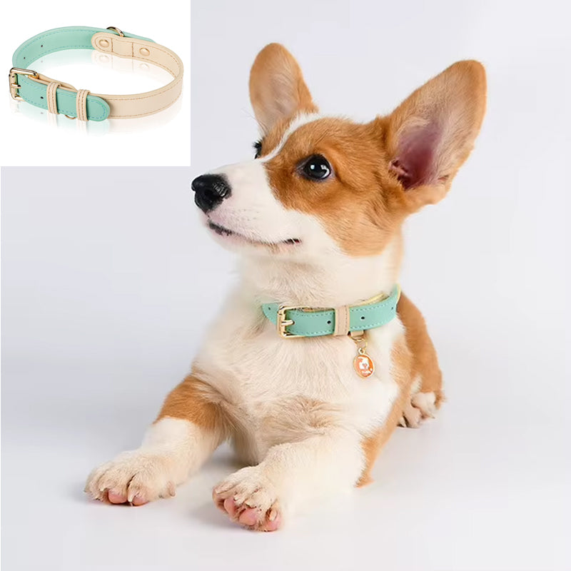 Genuine Leather Dog Collar, S-M-L