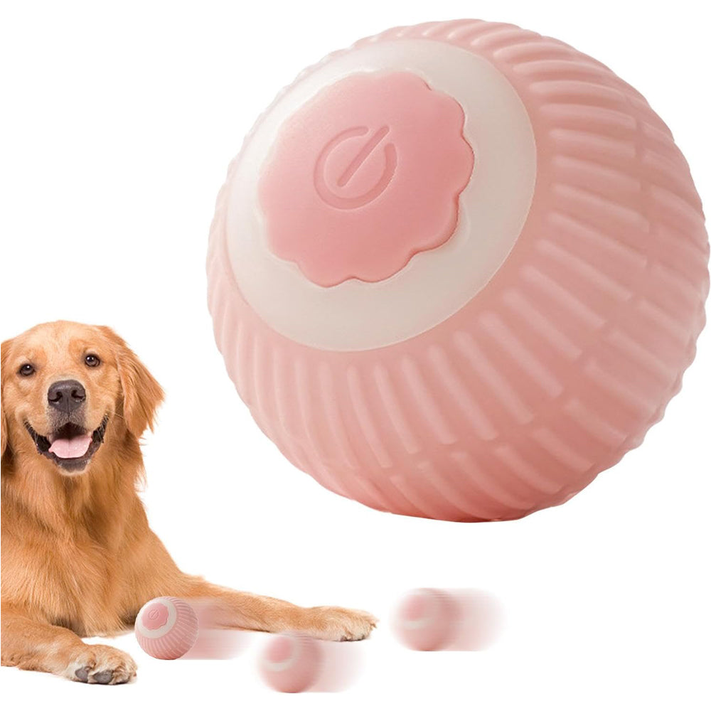 Interactive Pet Enrichment Ball