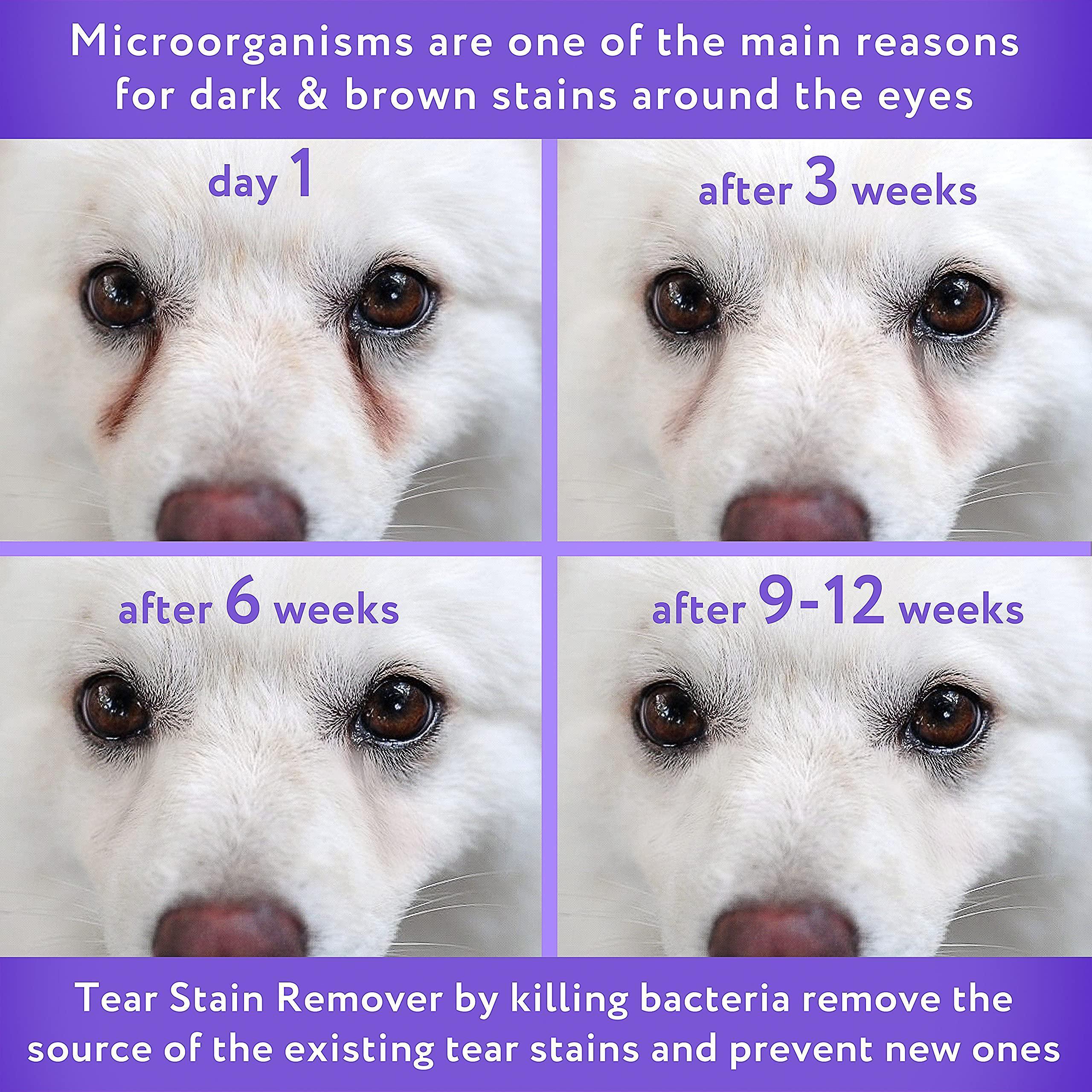 Gentle Tear Stain Remover for Dogs & Cats