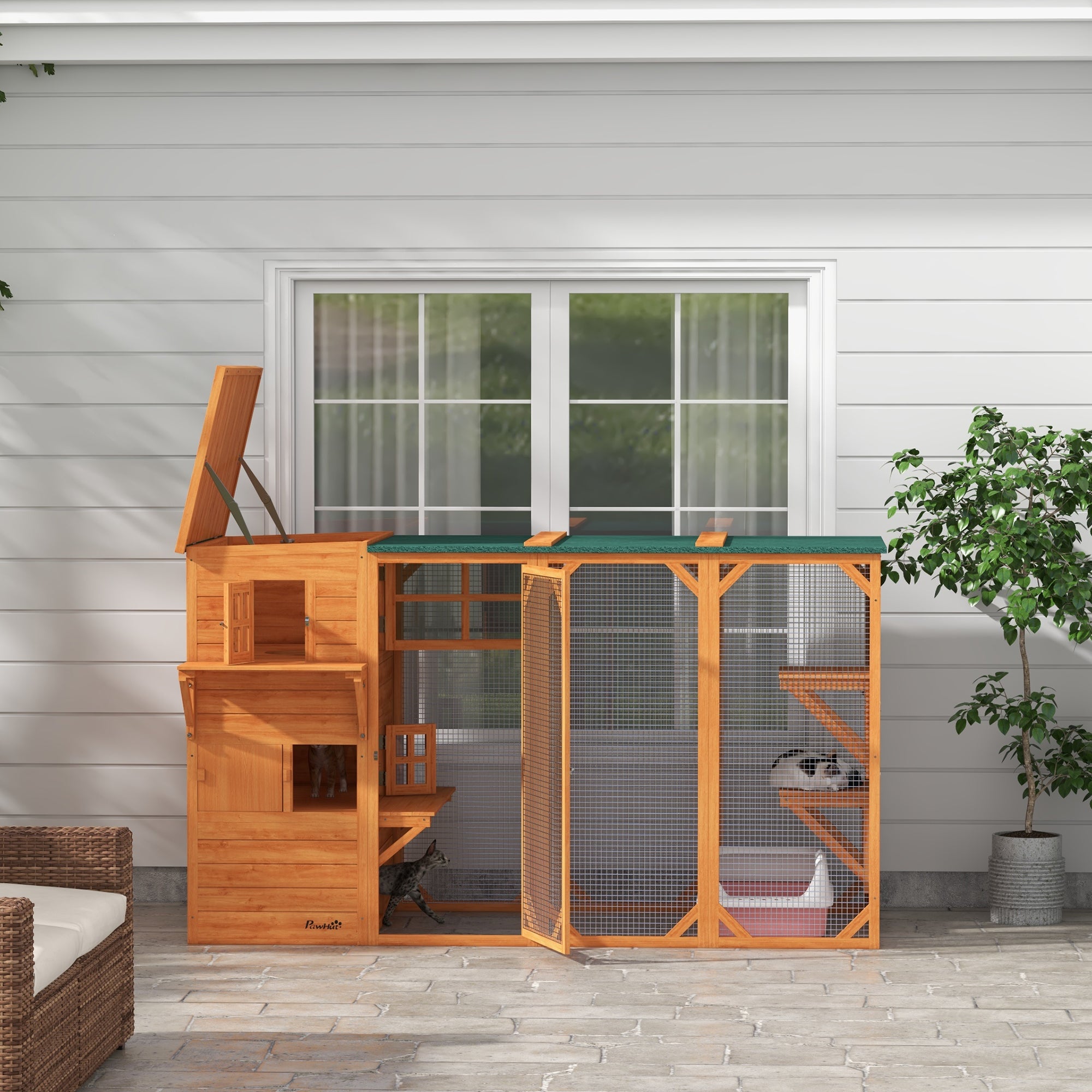 Large Outdoor Retreat for 3 Cats