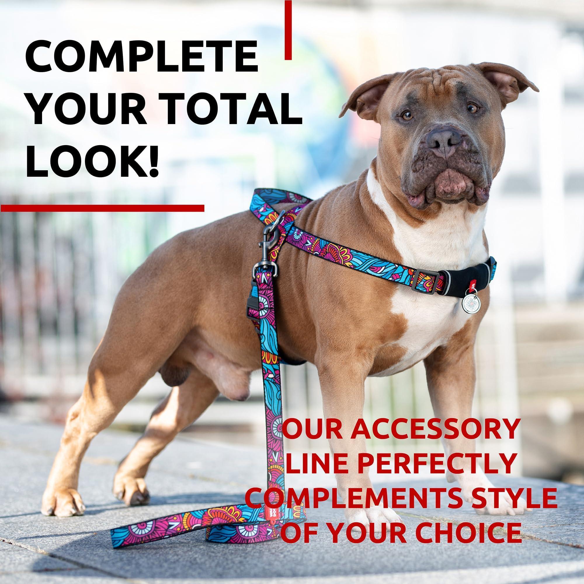 Durable Nylon Leash, 4 Ft x 1 Inch, Summer Colors