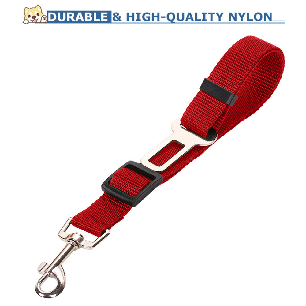 Adjustable Vehicle Safety Leash