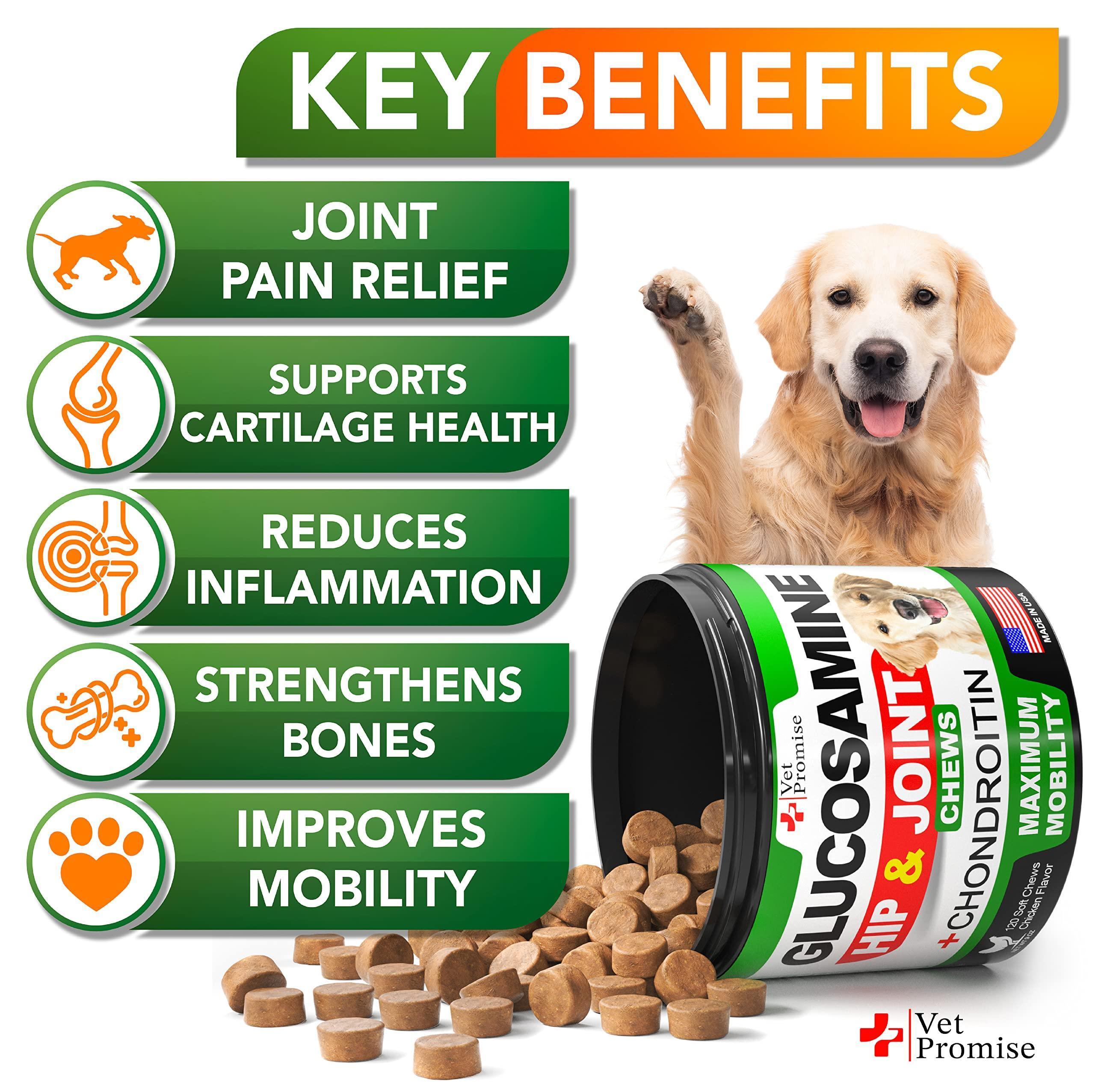 Hip & Joint Mobility Chews for Dogs, 120 Count